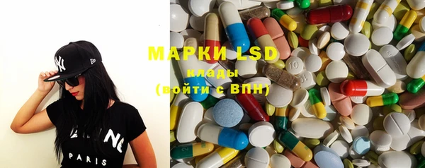 ECSTASY Бородино