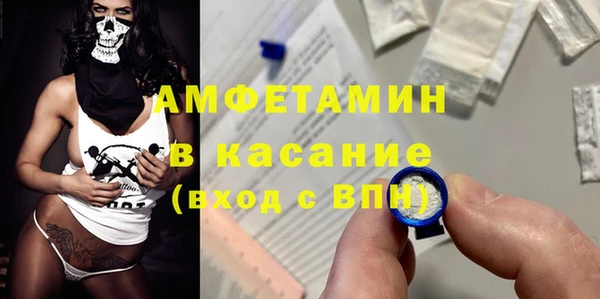 ECSTASY Бородино