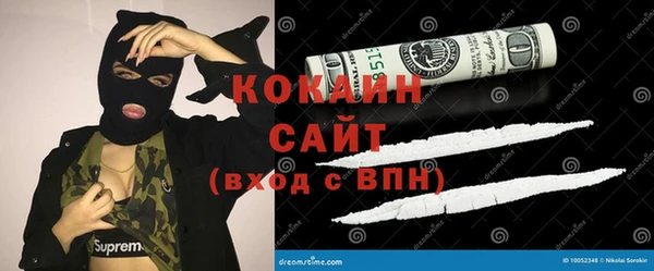 ECSTASY Бородино