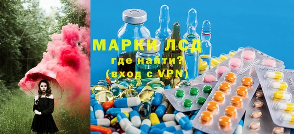 ECSTASY Бородино