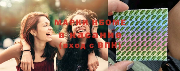 гашик Бронницы
