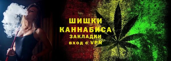 гашик Бронницы