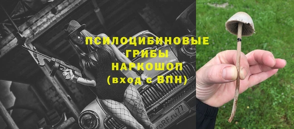 гашик Бронницы
