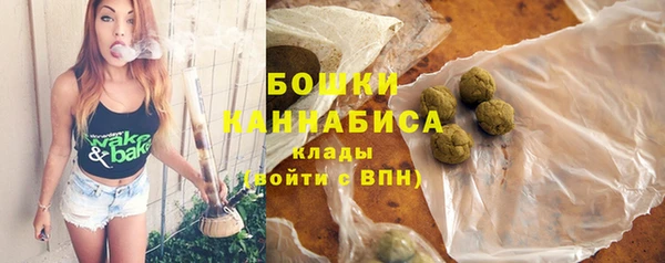 ECSTASY Бородино