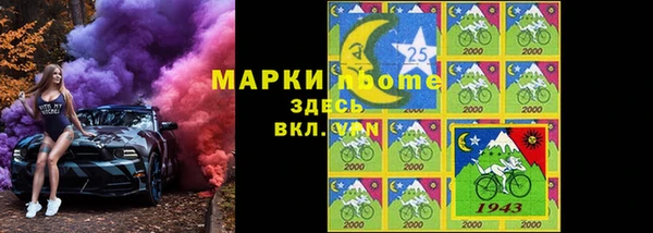 ECSTASY Бородино