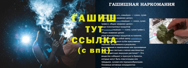 ECSTASY Бородино