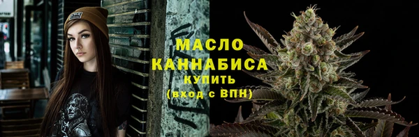 ECSTASY Бородино